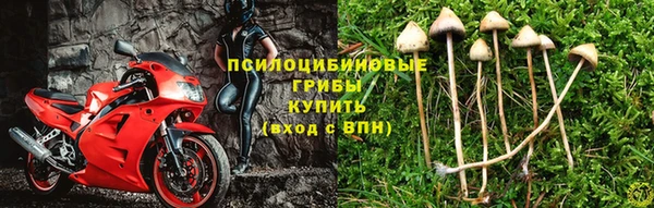соль курить ск Алексеевка