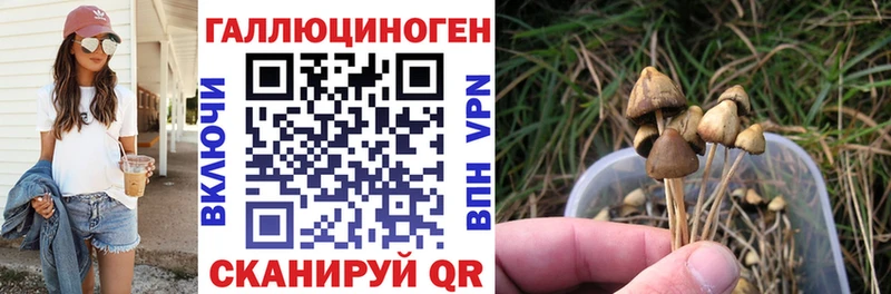 Галлюциногенные грибы MAGIC MUSHROOMS Кызыл